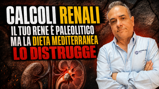 Calcoli Renali: Il Tuo Rene È Ancora Paleolitico. La Dieta Mediterranea Lo Sta Trasformando in una Fabbrica di Sassolini