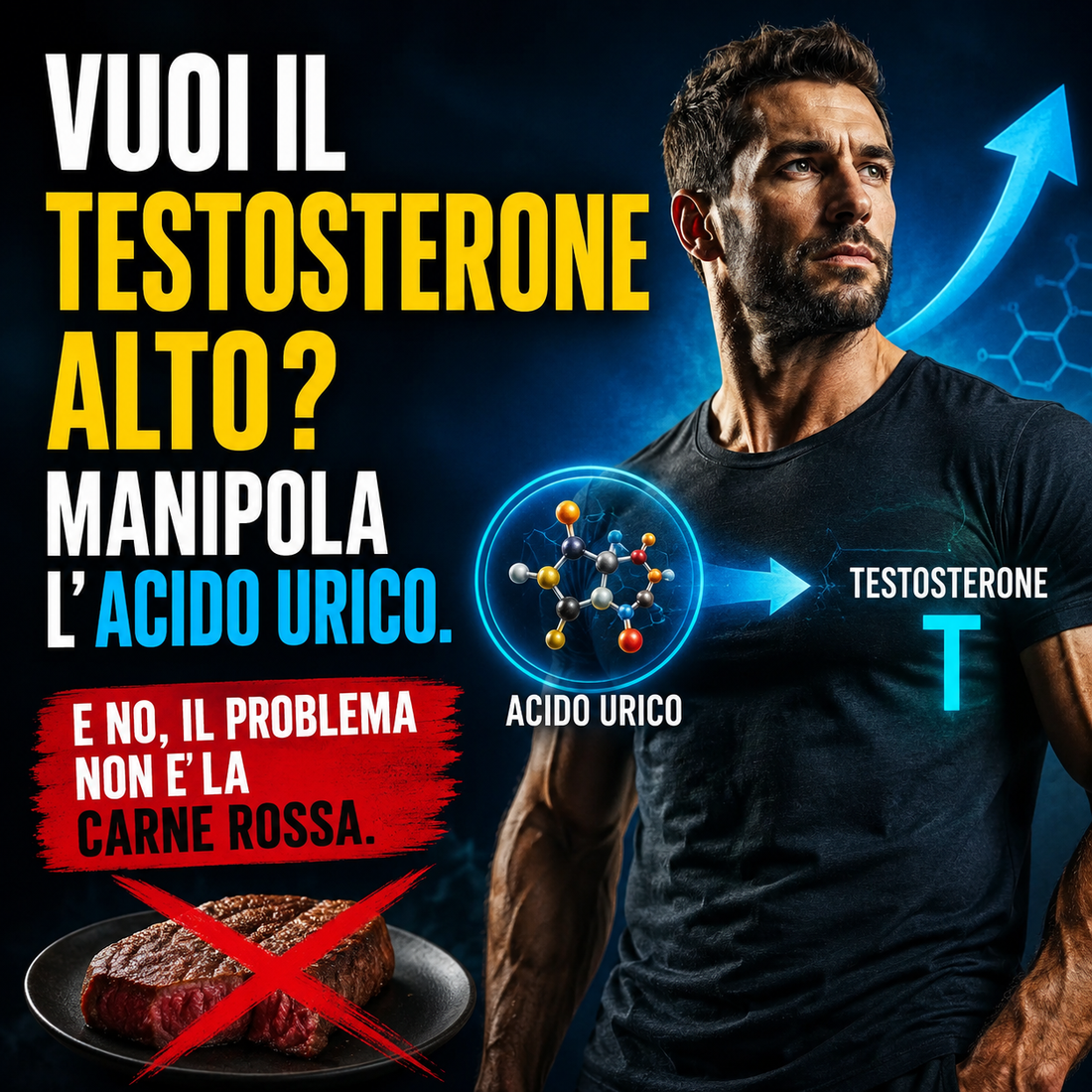 Vuoi Il Testosterone Alto? Manipola L' Acido Urico. E No, Il Problema Non E' La Carne Rossa.