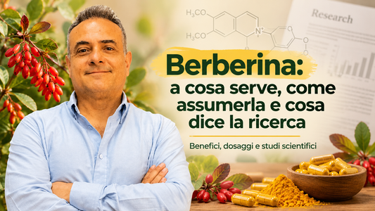Capsule di berberina e corteccia di crespino su sfondo chiaro