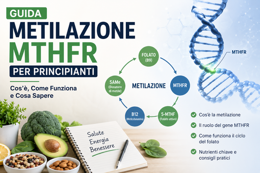 Guida Metilazione MTHFR per Principianti: Cos'è, Come Funziona e Cosa Sapere