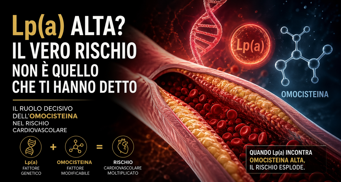 lipoproteina a alta e omocisteina rischio cardiovascolare arterie calcificate