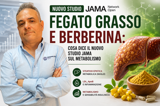 Fegato Grasso e Berberina: Cosa Dice il Nuovo Studio JAMA sul Metabolismo