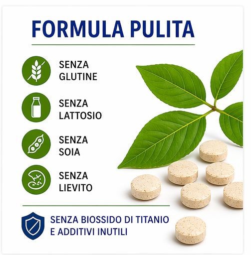 Primal K2 1000 - Vitamina K2/MK7 200 mcg - No Soya, No Glutine, No Lattosio (300 compresse) "PREVENDITA"